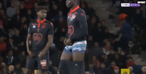 博彩公司宠物友好办公室政策